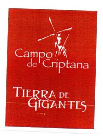 Imagen de CAMPO DE CRIPTANA TIERRA DE GIGANTES