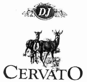 Imagen de DJ CERVATO