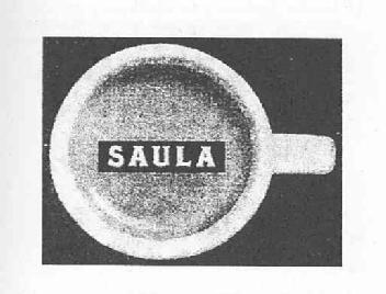 Imagen de SAULA