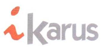 Imagen de IKARUS