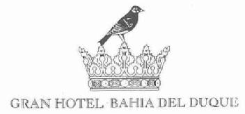 Imagen de GRAN HOTEL BAHIA DEL DUQUE