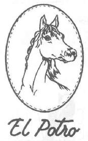 Imagen de EL POTRO