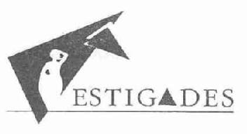 Imagen de ESTIGADES
