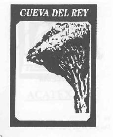 Imagen de CUEVA DEL REY
