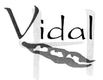 Imagen de VIDAL