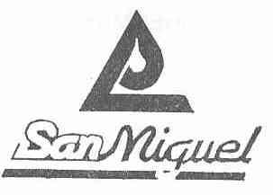 Imagen de SAN MIGUEL