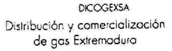 Imagen de DICOGEXSA DISTRIBUCION Y COMERCIALIZACION DE GAS EXTREMADURA