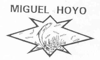 Imagen de MIGUEL HOYO