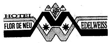 Imagen de HOTEL FLOR DE NEU EDELWEISS