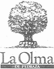 Imagen de LA OLMA DE PEDRAZA
