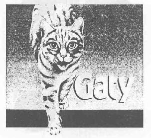 Imagen de GATY