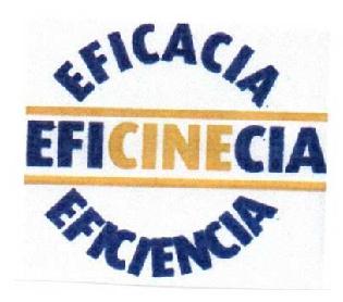 Imagen de EFICACIA EFICINECIA EFICIENCIA