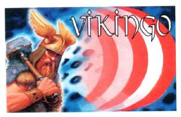 Imagen de VIKINGO