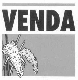 Imagen de VENDA