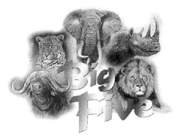 Imagen de BIG FIVE