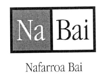 Imagen de NA BAI NAFARROA BAI