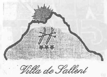 Imagen de VILLA DE SALLENT