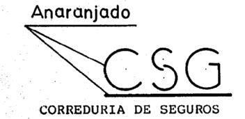 Imagen de CSG CORREDURIA DE SEGUROS