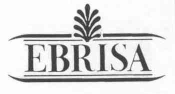 Imagen de EBRISA