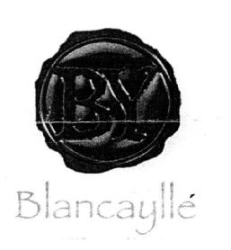 Imagen de BLANCAYLLE