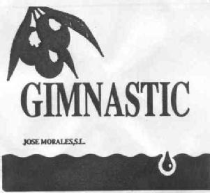 Imagen de GIMNASTIC JOSE MORALES, S.L