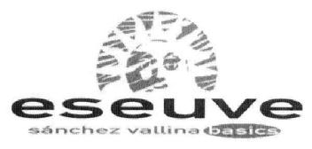 Imagen de ESEUVE SANCHEZ VALLINA BASICS