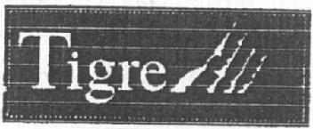 Imagen de TIGRE