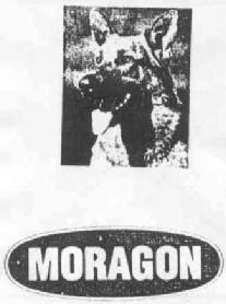 Imagen de MORAGON