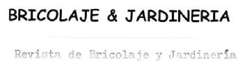 Imagen de BRICOLAJE & JARDINERIA REVISTA DE BRICOLAJE Y JARDINERIA