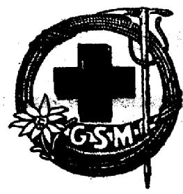 Imagen de GSM