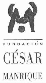Imagen de FUNDACION CESAR MANRIQUE