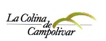 Imagen de LA COLINA DE CAMPOLIVAR