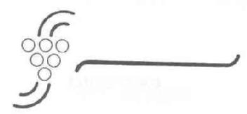 Imagen de M1910513