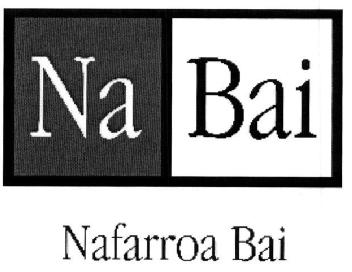 Imagen de NA BAI NAFARROA BAI