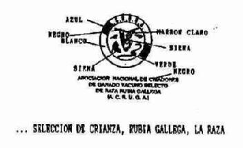 Imagen de ACRUGA ... SELECCION DE CRIANZA RUBIA GALLEGA, LA RAZA. ASOCIACION NACIONAL DE CRIADORES DE GANADO VACUNO SELECTO DE RAZA RUBIA GALLEGA (ACRUGA)