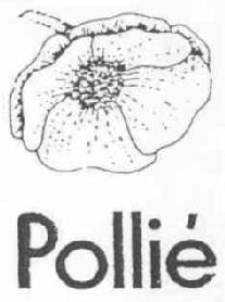 Imagen de POLLIE