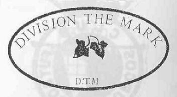 Imagen de DIVISION THE MARK D.T.M