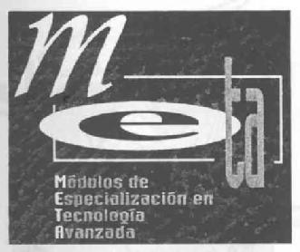 Imagen de META MODULOS DE ESPECIALIZACION EN TECNOLOGIA AVANZADA