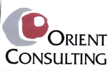 Imagen de ORIENT CONSULTING