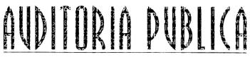 Imagen de AUDITORIA PUBLICA