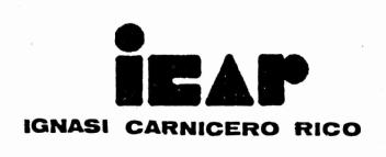 Imagen de ICAR IGNASI CARNICERO RICO