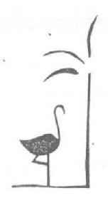 Imagen de M1917002