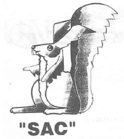 Imagen de 