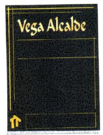 Imagen de VEGA ALCALDE