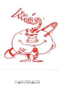Imagen de MAS MASTOMATE