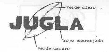 Imagen de JUGLA