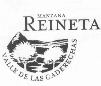 Imagen de MANZANA REINETA VALLE DE LAS CADERECHAS