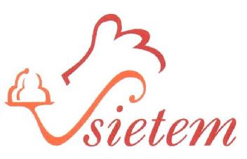 Imagen de SIETEM