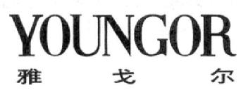 Imagen de YOUNGOR