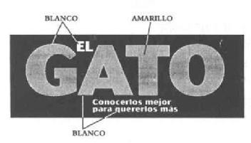 Imagen de EL GATO CONOCERLOS MEJOR PARA QUERERLOS MAS